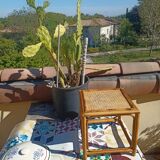 Small woven rattan table