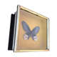 Boite antomologique avec papillon