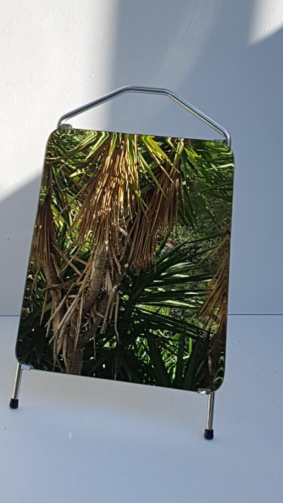 Vintage shoe mirror 38x56cm