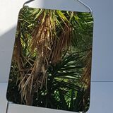 Vintage shoe mirror 38x56cm