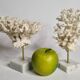 Set of four old white corals on marble base, 20 cm