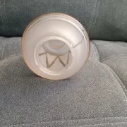 Lampshade / globe art and decor