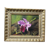 Oil on canvas signed "Catleya" old