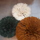 Burnt orange 80/85 cm juju hat
