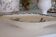Ravier antique "Marguerite" Luneville faience XIXth