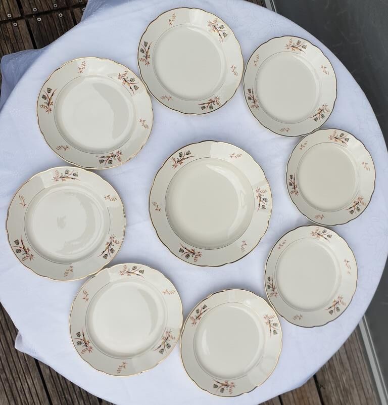 Set 8 plates and dish Villeroy & Boch Mettlach tulips 1940