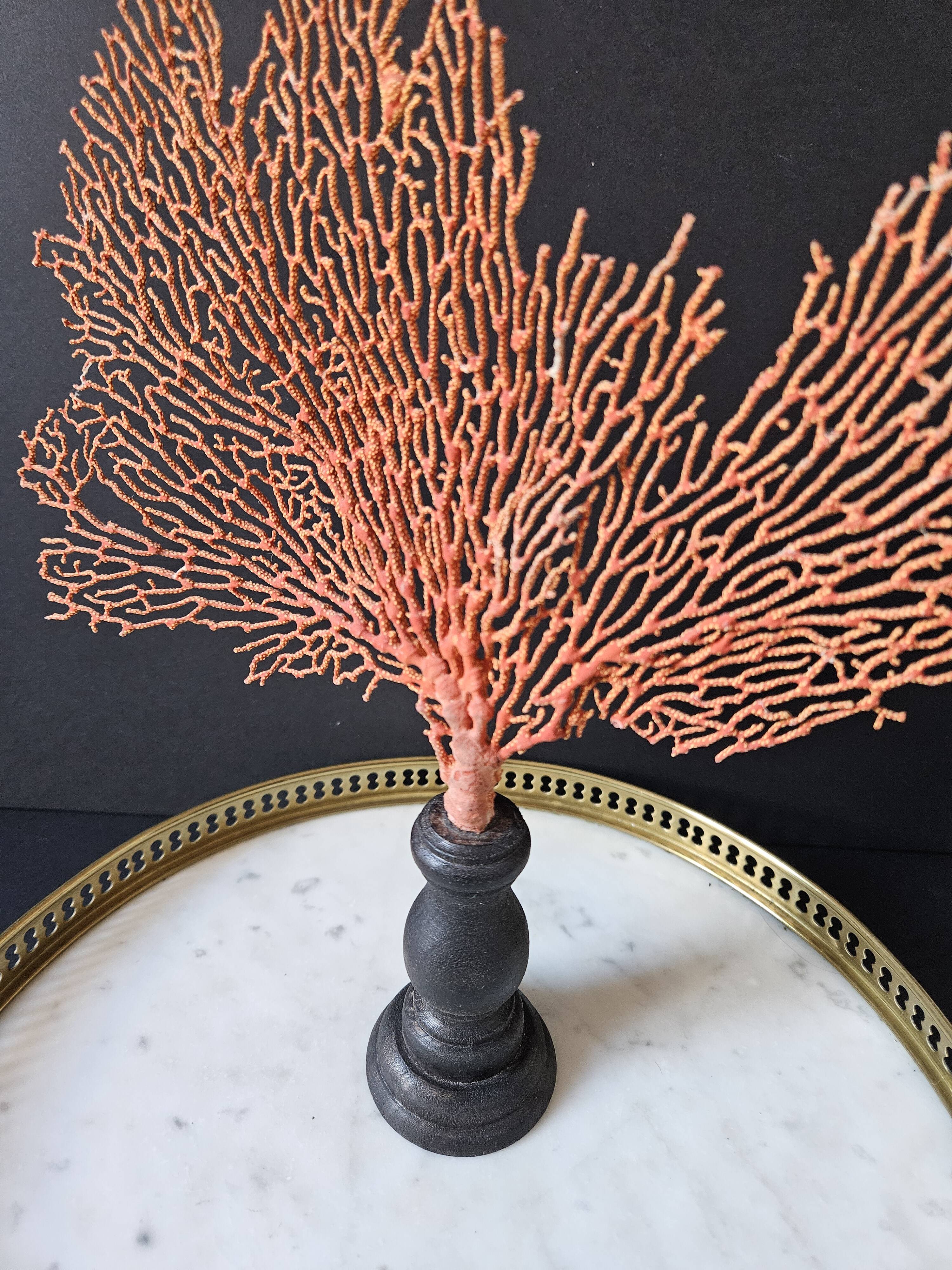 Red Gorgon Base in brown. H: 29 cm | Decorative Object & Curiosity