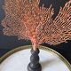 Red Gorgon Base in brown. H: 29 cm | Decorative Object & Curiosity