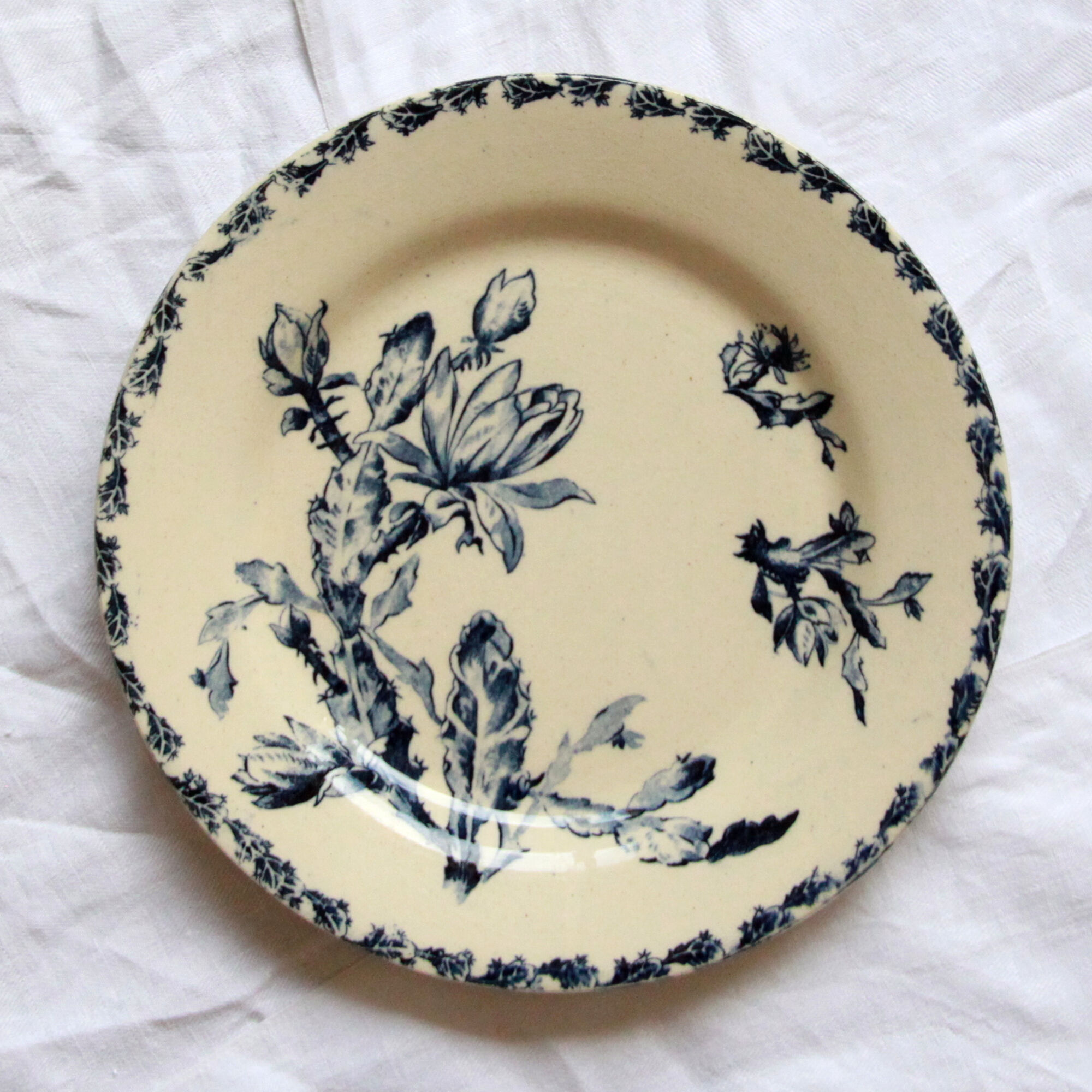 Set of 6 plates flat iron earth Gien Cactus blue porcelain opaque old 19 th earthenware