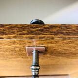 Filing cabinet with a curtain