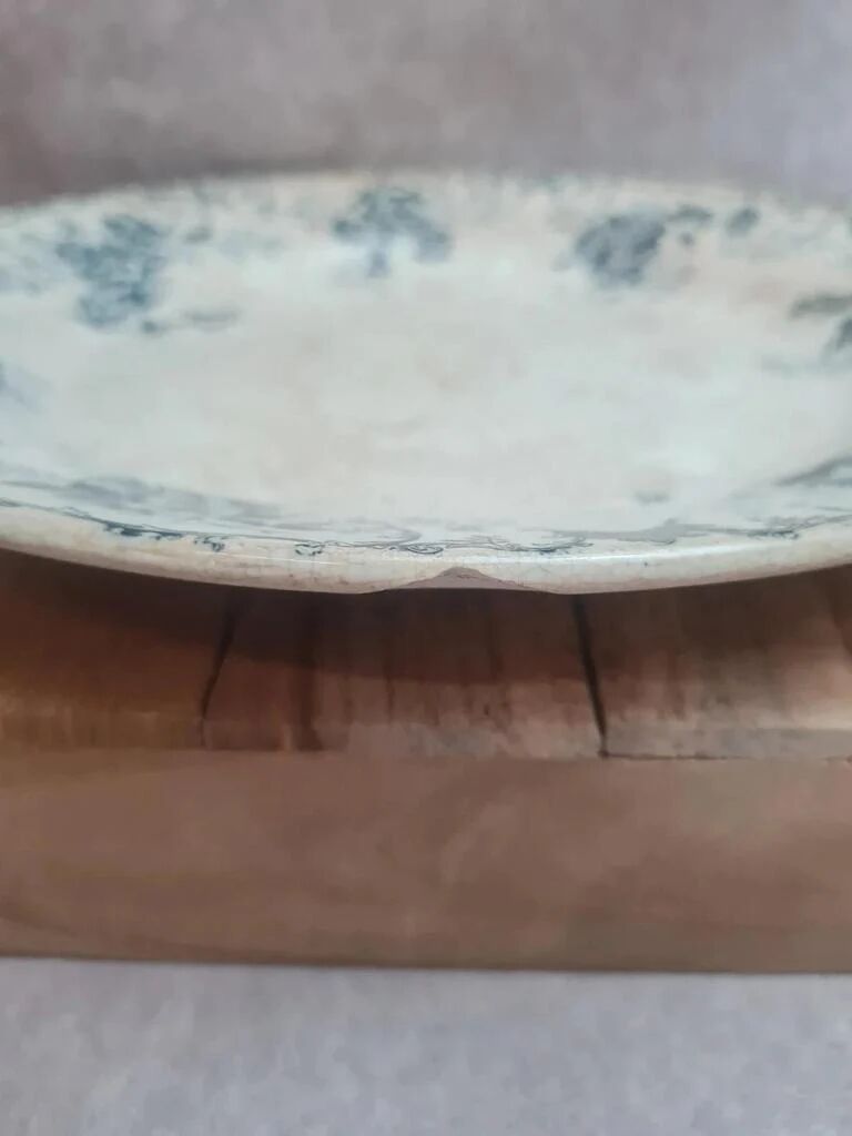 Old plate Terre de Fer Hb & Cie Choisy-le-Roi model Floreal 32 cm
