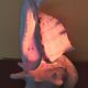 Night light, shell lamp 60s