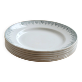 6 vintage plates from Terre de Ter Saint Amandinoise, Saint Amand model 4500.