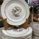 Set of 10 flat plates Digoin & Sarreguemines Nanteuil