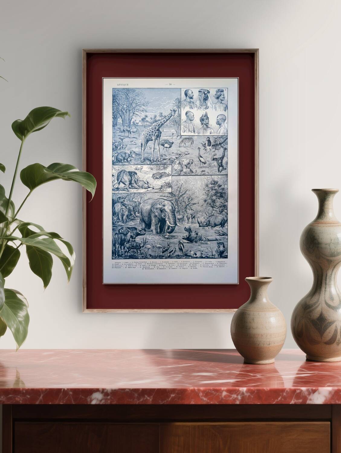 Printed in 1921, engravings of Africa.