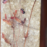 Accolay lamp with copper and resin shade
