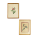 Botanical planks rose roses Dreaded