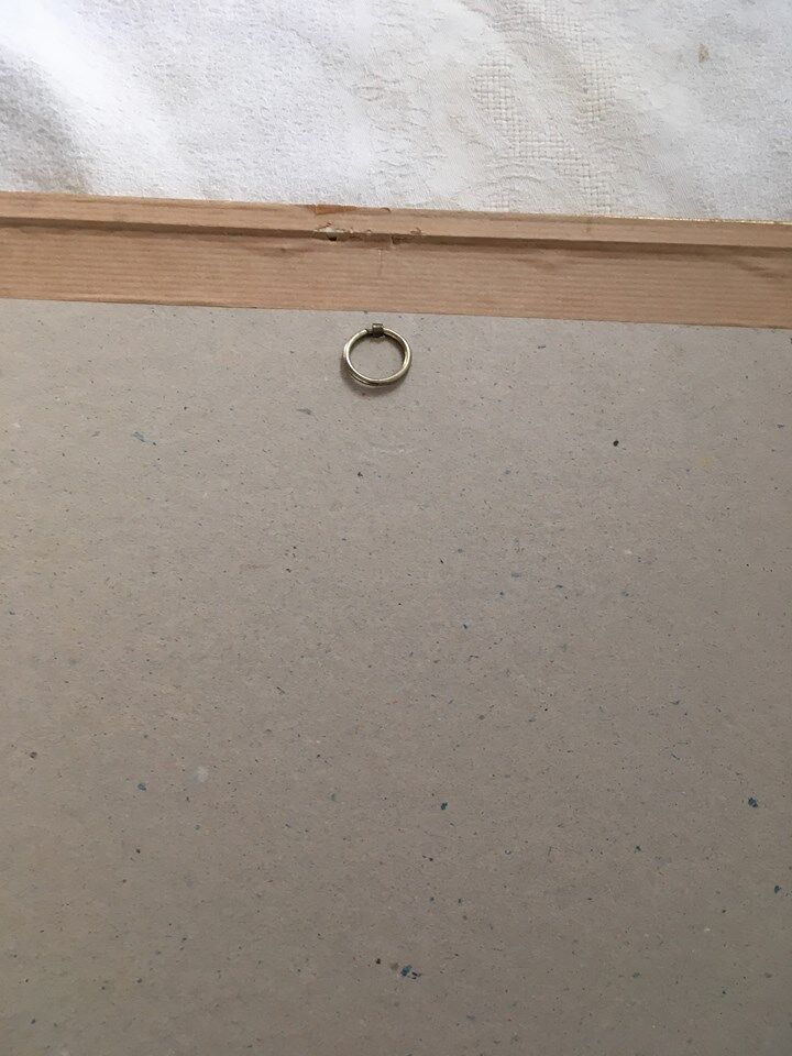 Board of botanical framed "Rosa centifolia rule"