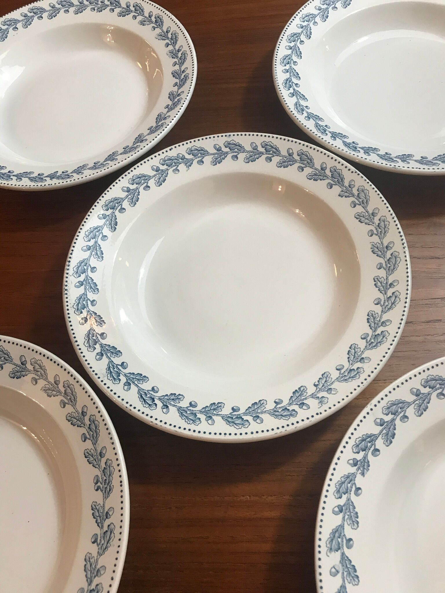 5 hollow plates Terre de Fer Sarreguemines early 20th century