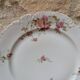 Porcelain plate with floral decoration, gilding, and relief MR France 25.5cm