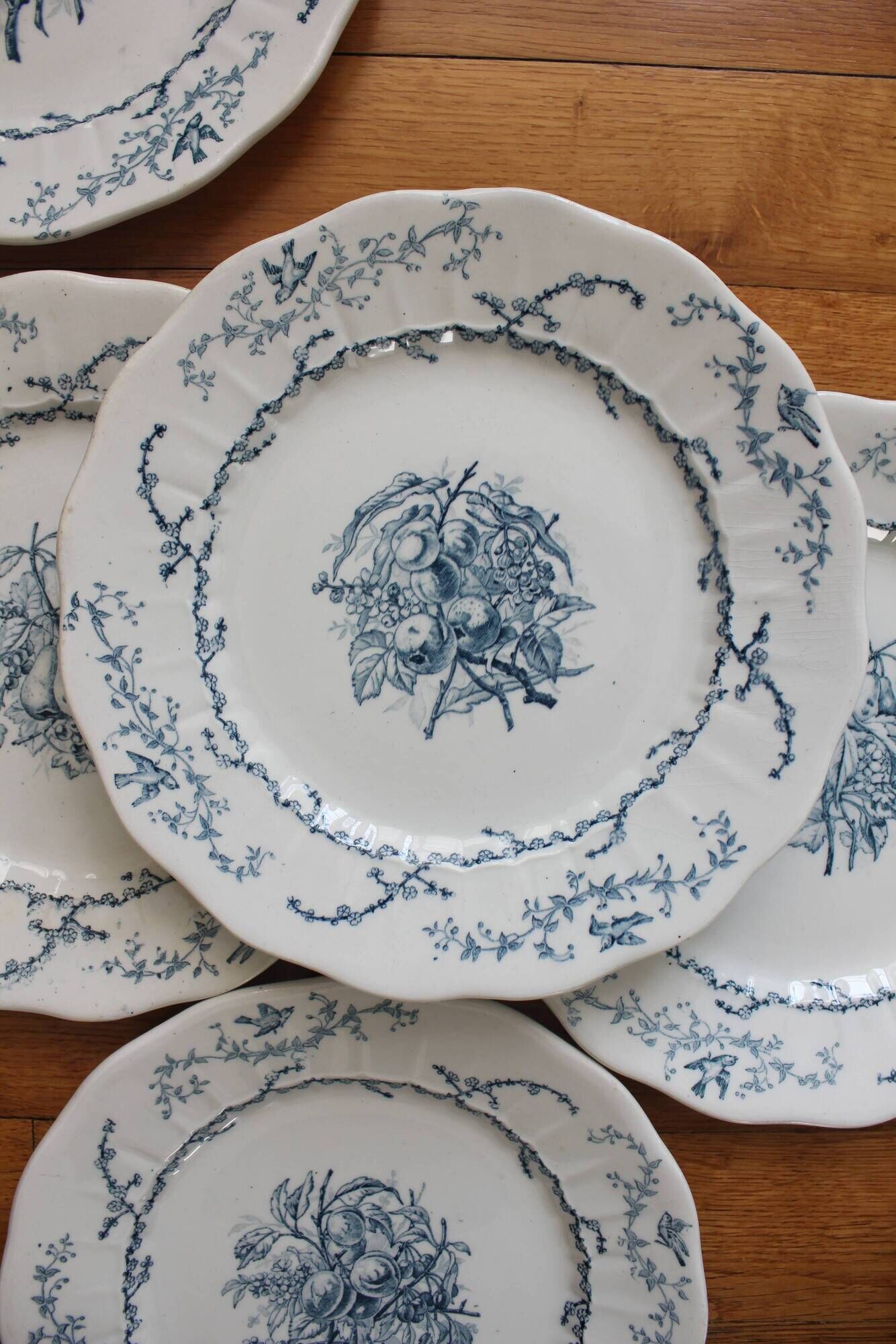 6 flat plates in iron earth Pompadour earthenware factory of Clairefontaine