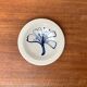 Mid-Century Studio Pottery Plate Bowl from Wallakra, Sweden, 1960s