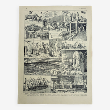 Gravure ancienne 1928, Abattoir d'époque, boucherie, viande • Lithographie, Planche originale