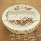 Luneville asparagus service