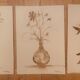 Lot de 3 tableaux nature morte vases fleurs séchées style Wabi Sabi