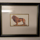 Ensemble de trois gravures animalières style histoire naturelle