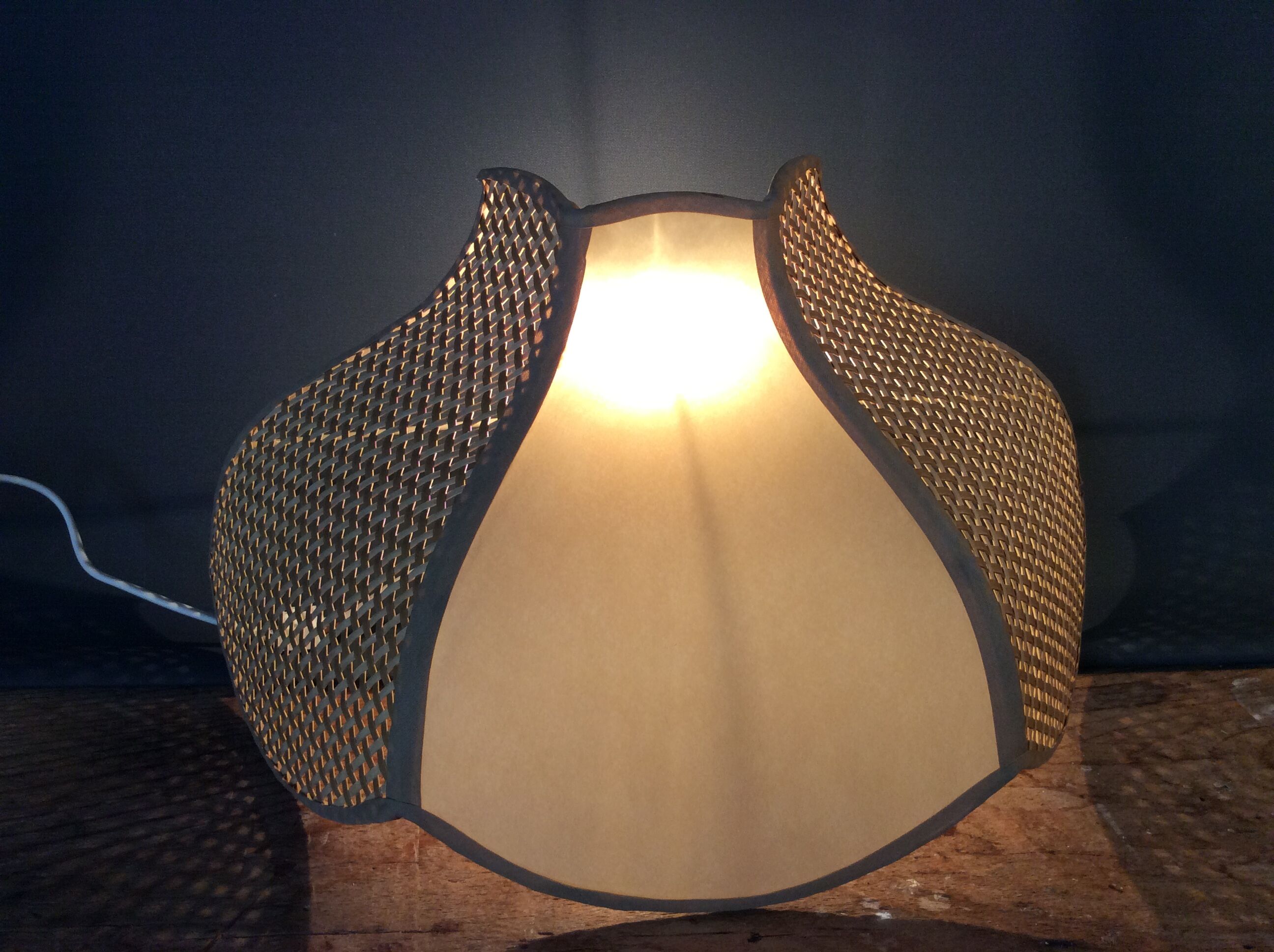 Vintage flower wall lamp