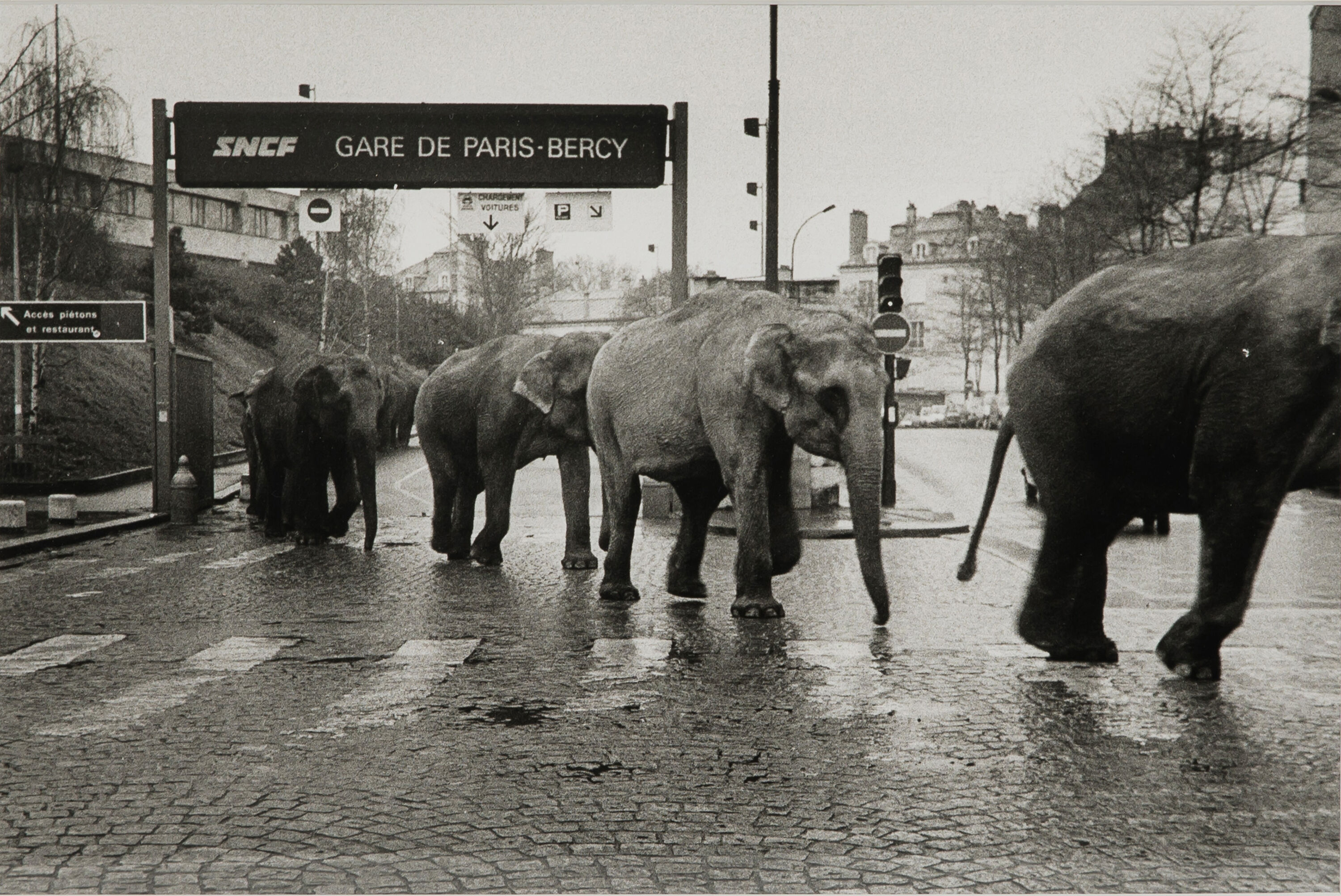American Circus à Paris 1985