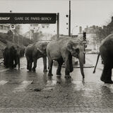 American Circus in Paris 1985