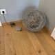 Wire Lamp Terra by Catellani & Smith in silver, diameter 50.