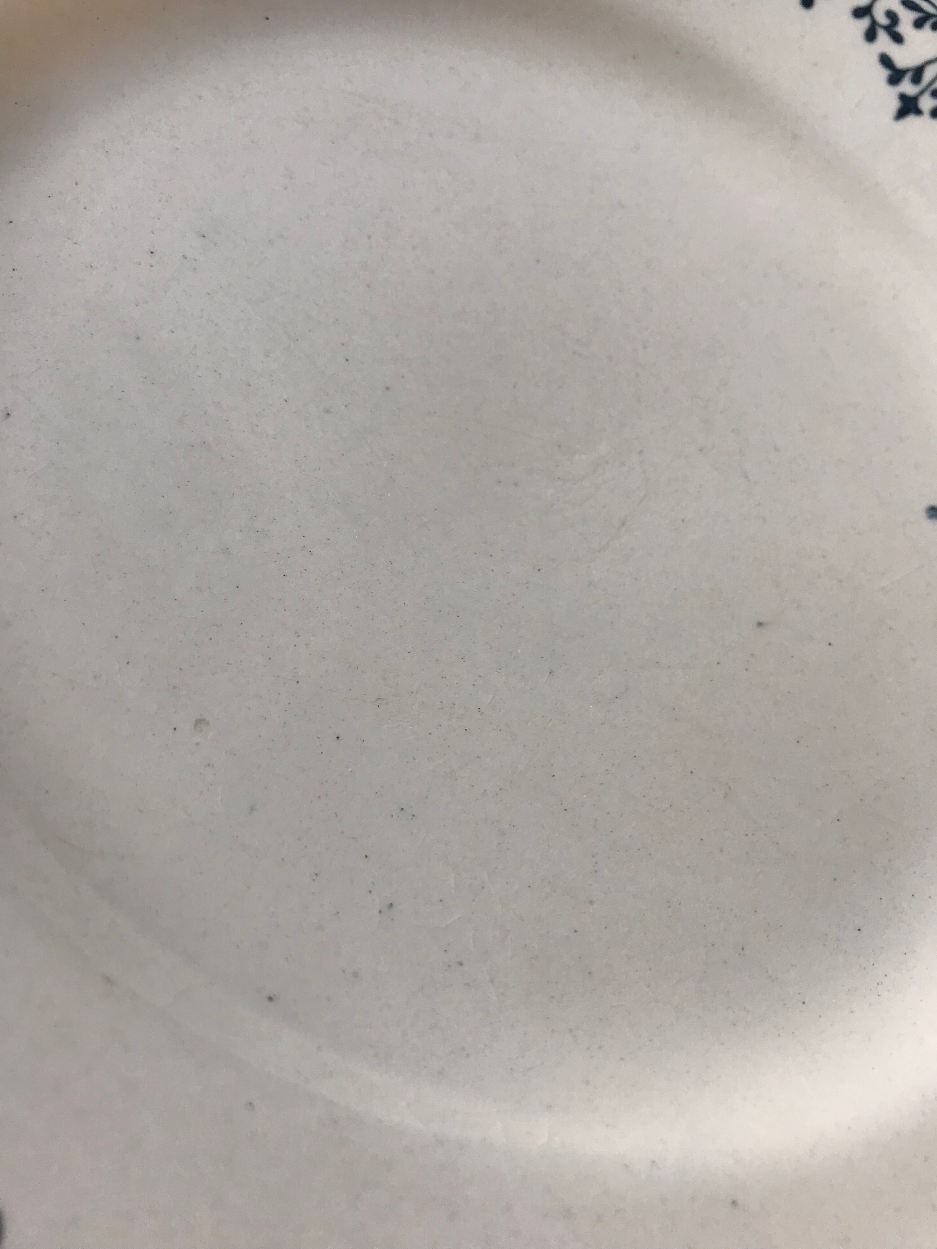 Flat plate of the longchamp earthenware factory, doria model,  iron land