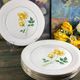 6 assiettes plates blanches rose jaune Moulin des loups Orchies