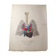 Medical anatomy board "Breathing and circulation devices" double-sided