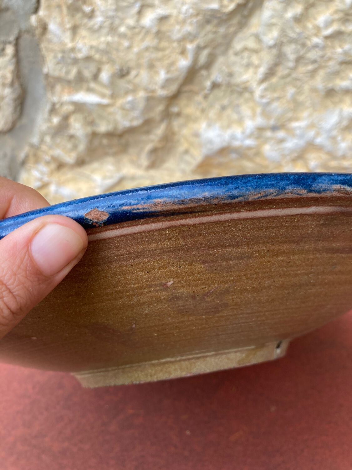 Puigdemont fish plate