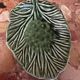Vintage leaf-shaped green majolica catchall.