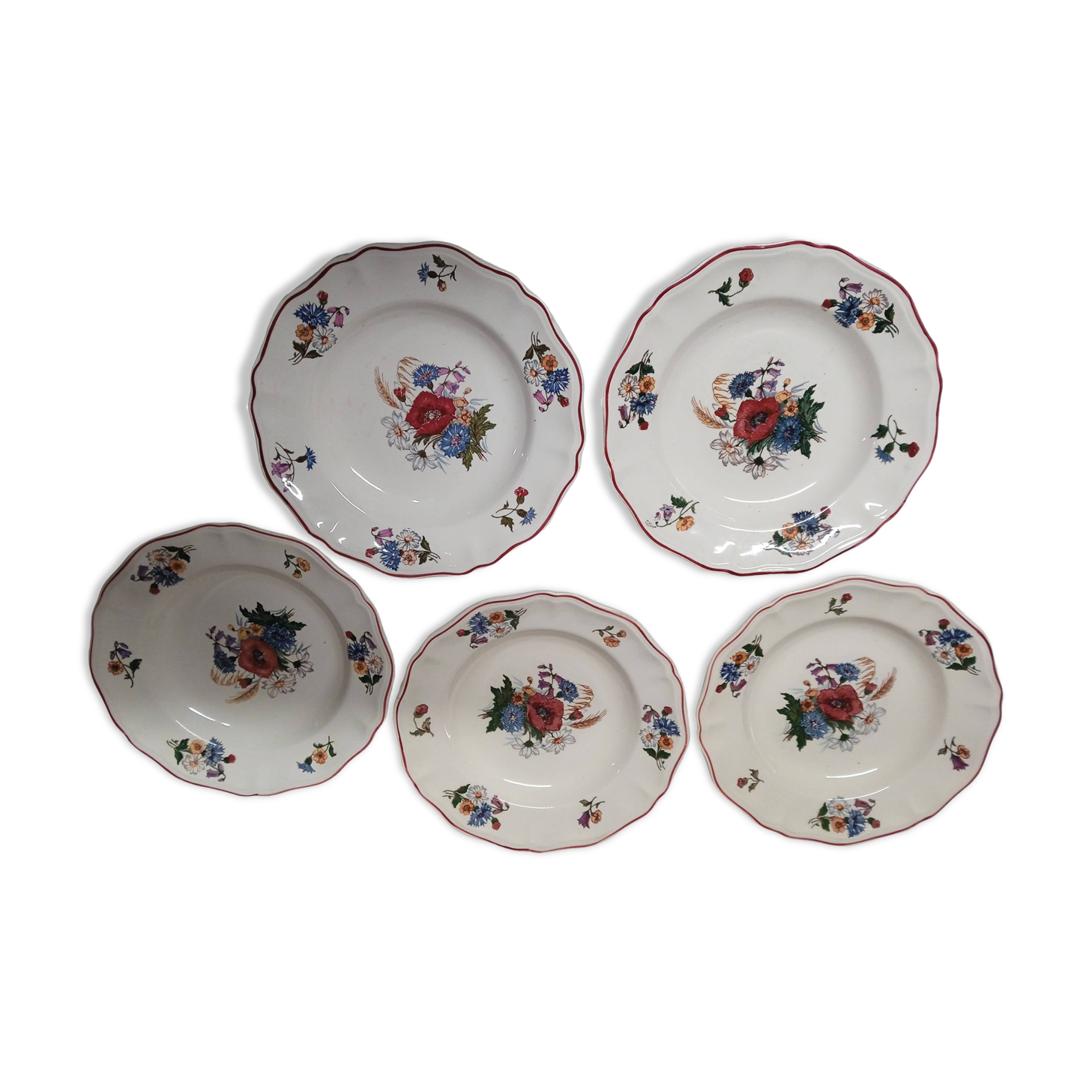 5 soup plates diameter 25 cm Agreste Sarreguemines