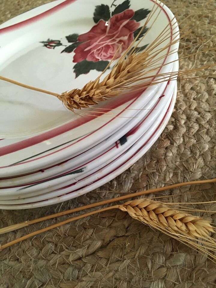 Flat plates with digoin roses sarreguemines