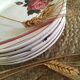 Flat plates with digoin roses sarreguemines