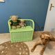 Vintage rattan bench toy chest