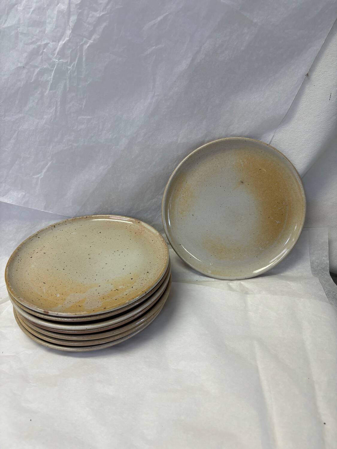 Set of 8 marsh stoneware plates