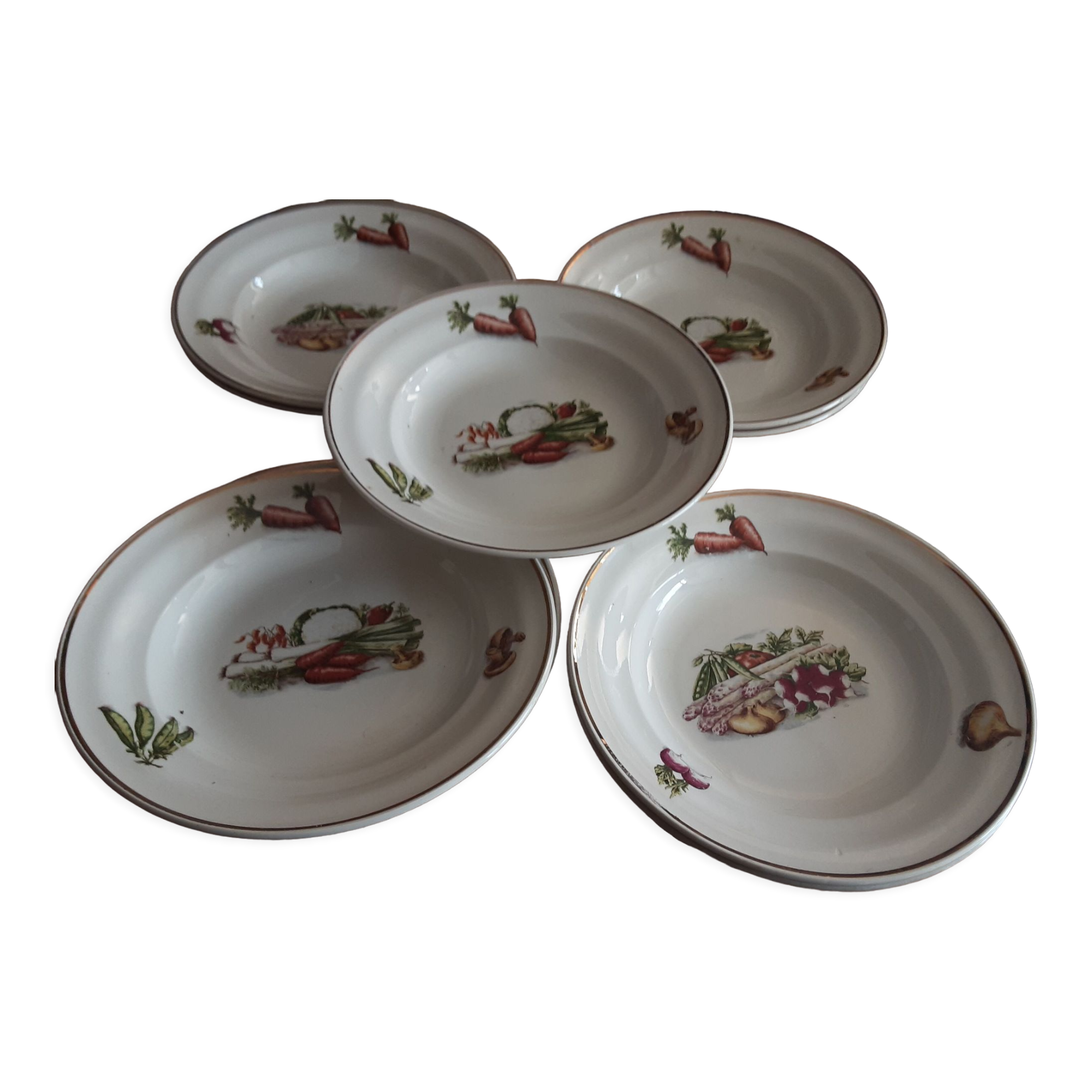 9 hollow plates cerarnord saint amand vegetable model
