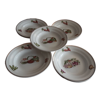 9 hollow plates cerarnord saint amand vegetable model