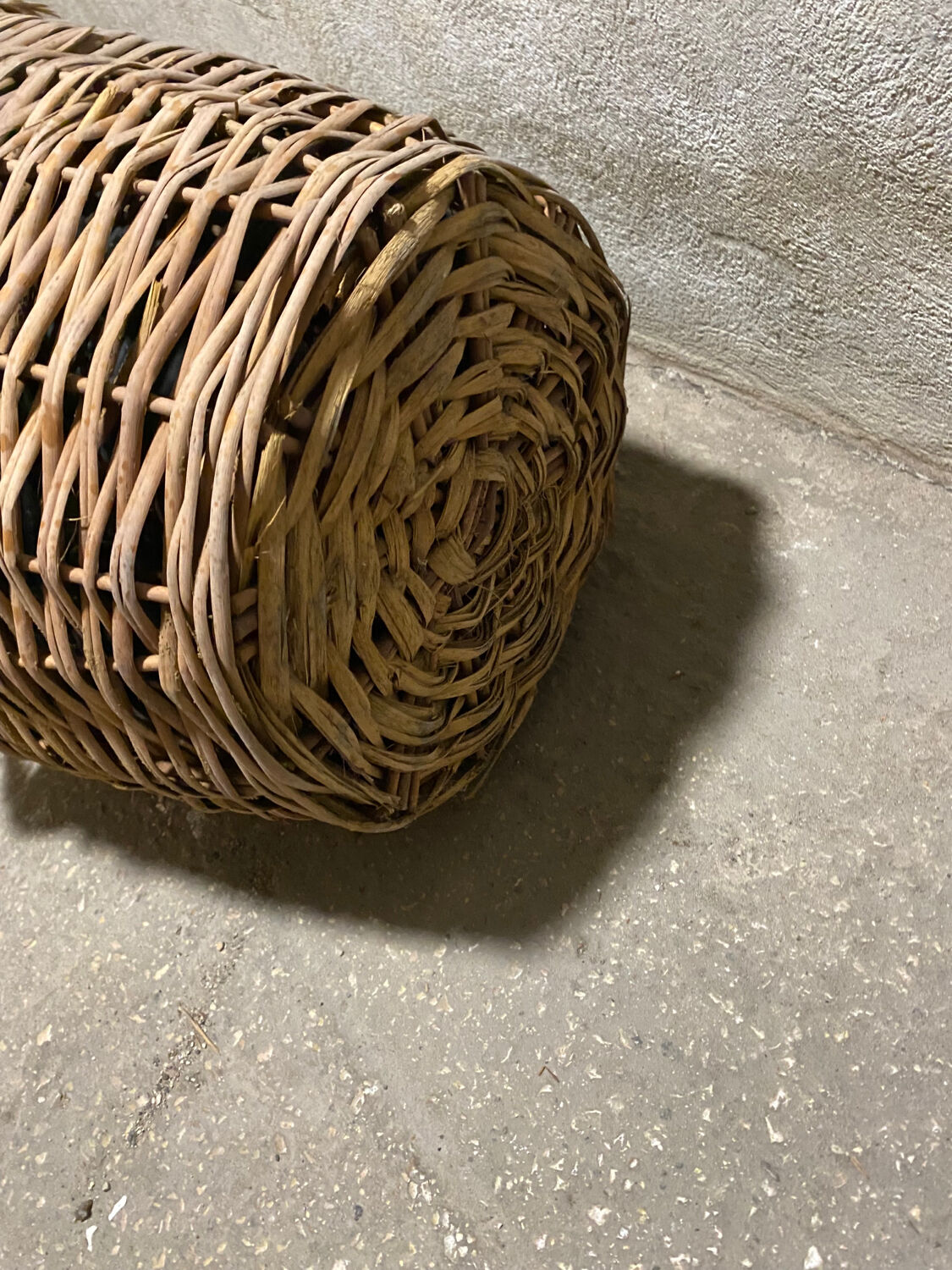 Lady Jeanne in her wicker case