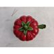 Soupière faïence tomate
