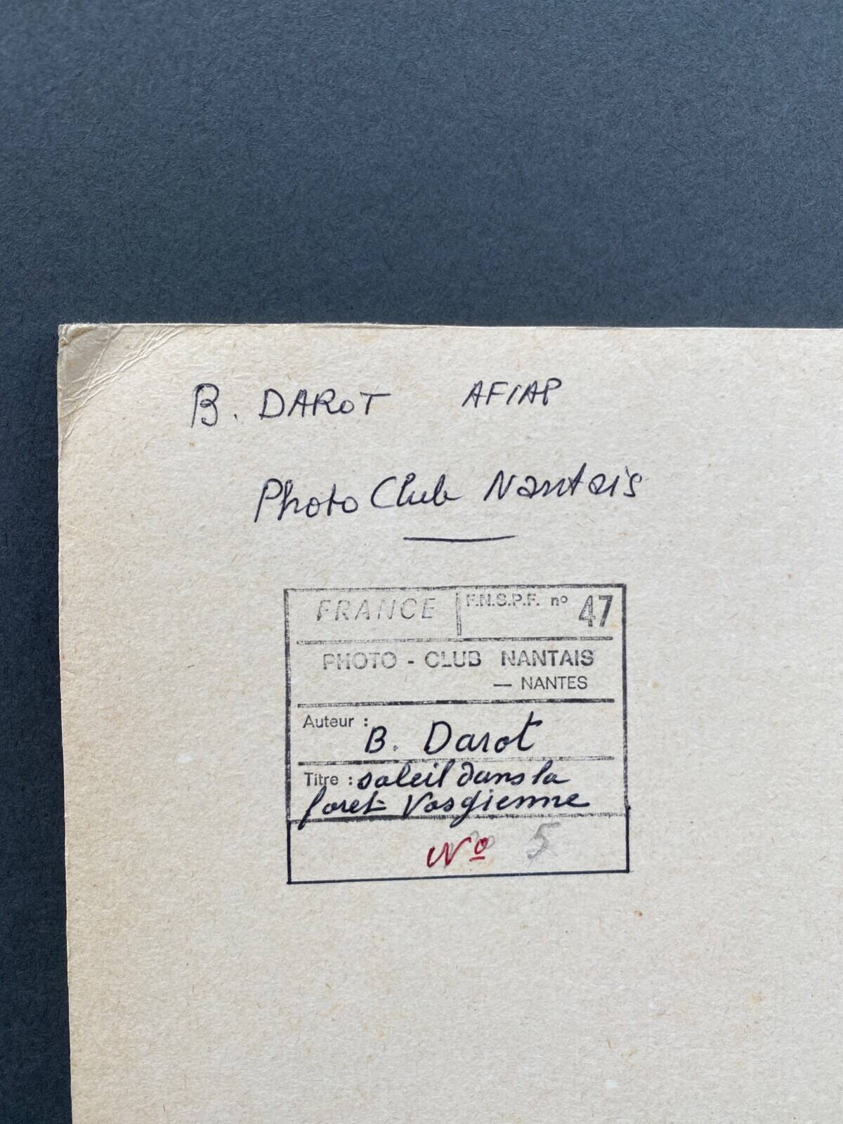 Film photography by Bernard Darot, Sun, Vosges Forest, Nantes Club