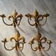 Lys flower brass sconces
